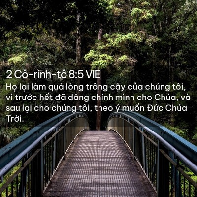 Picture 02 - 2 Cô-rinh-tô 8:5 VIE - Họ lại làm quá lòng trông cậy của - Bible Verse Picture