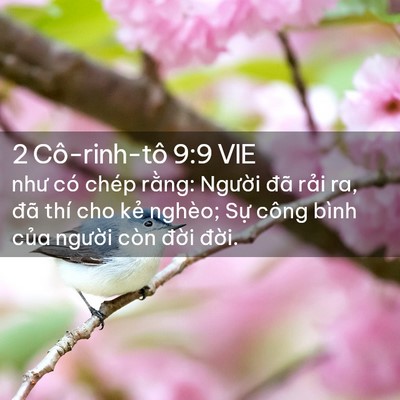Picture 02 - 2 Cô-rinh-tô 9:9 VIE - như có chép rằng: Người đã rải ra, - Bible Verse Picture