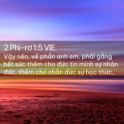 Picture 02 - 2 Phi-rơ 1:5 VIE - Vậy nên, về phần anh em, phải gắng - Bible Verse Picture