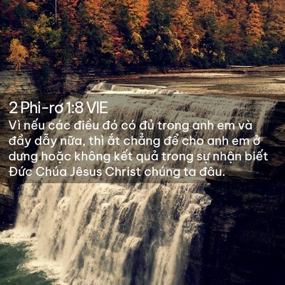 Picture 02 - 2 Phi-rơ 1:8 VIE - Vì nếu các điều đó có đủ trong anh - Bible Verse Picture