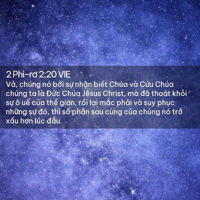 Picture 02 - 2 Phi-rơ 2:20 VIE - Vả, chúng nó bởi sự nhận biết Chúa - Bible Verse Picture