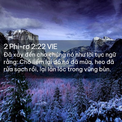 Picture 02 - 2 Phi-rơ 2:22 VIE - Đã xảy đến cho chúng nó như lời tục - Bible Verse Picture