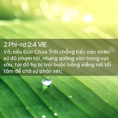Picture 02 - 2 Phi-rơ 2:4 VIE - Vả, nếu Đức Chúa Trời chẳng tiếc - Bible Verse Picture