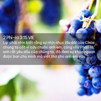 Picture 02 - 2 Phi-rơ 3:15 VIE - Lại phải nhìn biết rằng sự nhịn - Bible Verse Picture