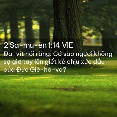 Picture 02 - 2 Sa-mu-ên 1:14 VIE - Đa-vít nói rằng: Cớ sao ngươi không - Bible Verse Picture