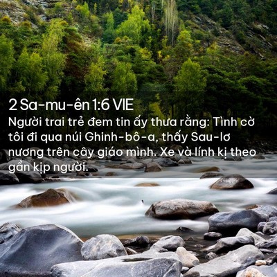 Picture 02 - 2 Sa-mu-ên 1:6 VIE - Người trai trẻ đem tin ấy thưa rằng: - Bible Verse Picture
