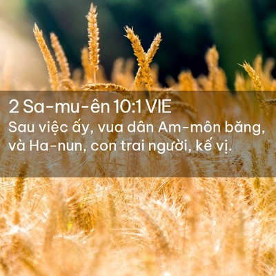 Picture 02 - 2 Sa-mu-ên 10:1 VIE - Sau việc ấy, vua dân Am-môn băng, và - Bible Verse Picture