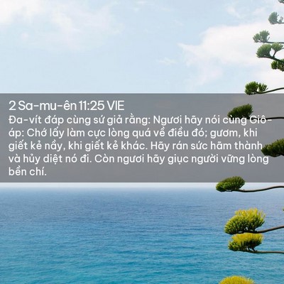 Picture 02 - 2 Sa-mu-ên 11:25 VIE - Đa-vít đáp cùng sứ giả rằng: Ngươi - Bible Verse Picture