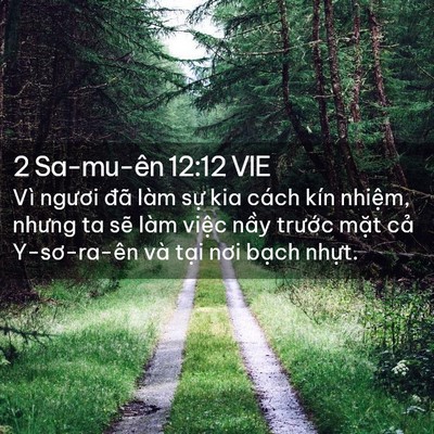 Picture 02 - 2 Sa-mu-ên 12:12 VIE - Vì ngươi đã làm sự kia cách kín - Bible Verse Picture