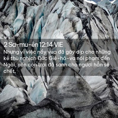 Picture 02 - 2 Sa-mu-ên 12:14 VIE - Nhưng vì việc nầy vua đã gây dịp cho - Bible Verse Picture