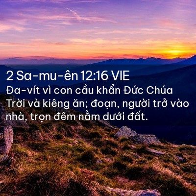 Picture 02 - 2 Sa-mu-ên 12:16 VIE - Đa-vít vì con cầu khẩn Đức Chúa Trời - Bible Verse Picture