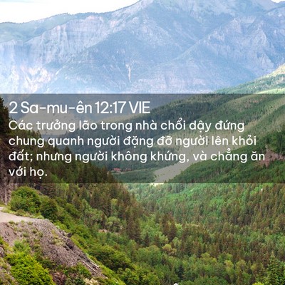 Picture 02 - 2 Sa-mu-ên 12:17 VIE - Các trưởng lão trong nhà chổi dậy - Bible Verse Picture