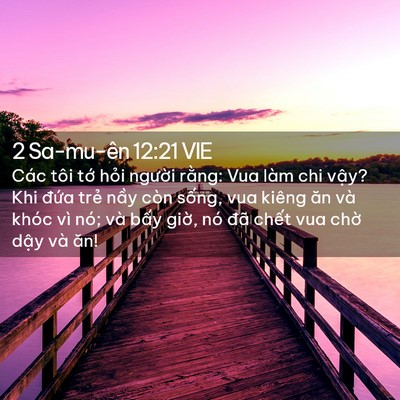 Picture 02 - 2 Sa-mu-ên 12:21 VIE - Các tôi tớ hỏi người rằng: Vua làm - Bible Verse Picture