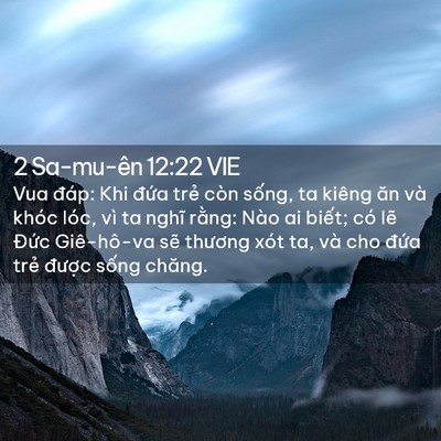 Picture 02 - 2 Sa-mu-ên 12:22 VIE - Vua đáp: Khi đứa trẻ còn sống, ta - Bible Verse Picture