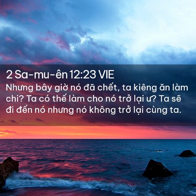 Picture 02 - 2 Sa-mu-ên 12:23 VIE - Nhưng bây giờ nó đã chết, ta kiêng ăn - Bible Verse Picture