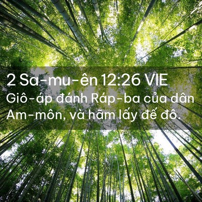 Picture 02 - 2 Sa-mu-ên 12:26 VIE - Giô-áp đánh Ráp-ba của dân Am-môn, và - Bible Verse Picture