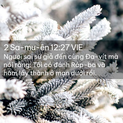 Picture 02 - 2 Sa-mu-ên 12:27 VIE - Người sai sứ giả đến cùng Đa-vít mà - Bible Verse Picture