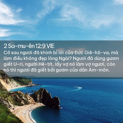 Picture 02 - 2 Sa-mu-ên 12:9 VIE - Cớ sau ngươi đã khinh bỉ lời của - Bible Verse Picture