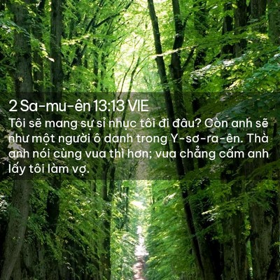 Picture 02 - 2 Sa-mu-ên 13:13 VIE - Tôi sẽ mang sự sỉ nhục tôi đi đâu? - Bible Verse Picture