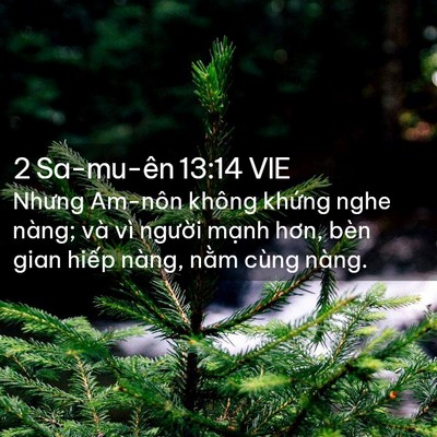 Picture 02 - 2 Sa-mu-ên 13:14 VIE - Nhưng Am-nôn không khứng nghe nàng; và vì - Bible Verse Picture