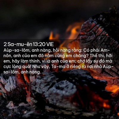 Picture 02 - 2 Sa-mu-ên 13:20 VIE - Aùp-sa-lôm, anh nàng, hỏi nàng rằng: Có - Bible Verse Picture
