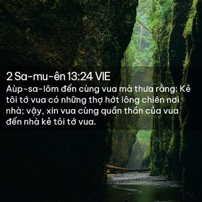 Picture 02 - 2 Sa-mu-ên 13:24 VIE - Aùp-sa-lôm đến cùng vua mà thưa rằng: - Bible Verse Picture