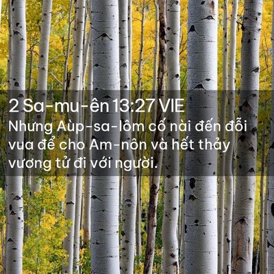 Picture 02 - 2 Sa-mu-ên 13:27 VIE - Nhưng Aùp-sa-lôm cố nài đến đỗi vua - Bible Verse Picture