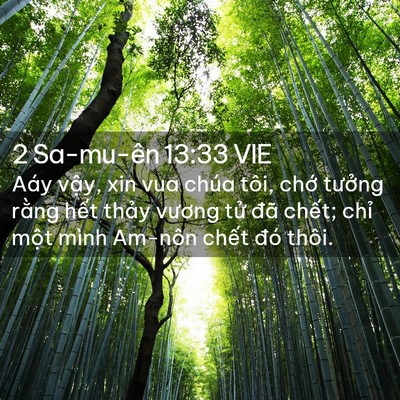 Picture 02 - 2 Sa-mu-ên 13:33 VIE - Aáy vậy, xin vua chúa tôi, chớ tưởng - Bible Verse Picture