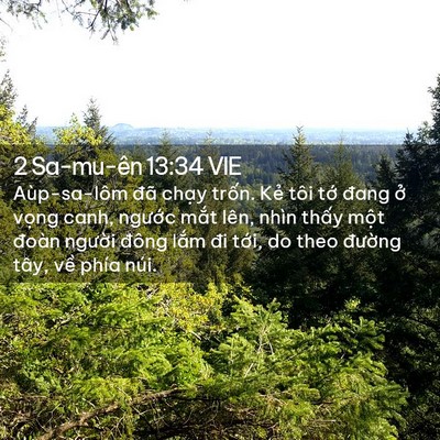 Picture 02 - 2 Sa-mu-ên 13:34 VIE - Aùp-sa-lôm đã chạy trốn. Kẻ tôi tớ - Bible Verse Picture