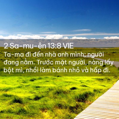Picture 02 - 2 Sa-mu-ên 13:8 VIE - Ta-ma đi đến nhà anh mình; người đang - Bible Verse Picture
