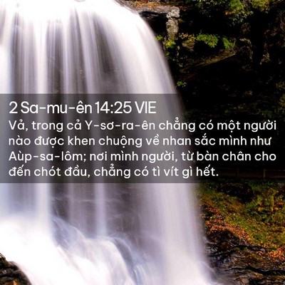 Picture 02 - 2 Sa-mu-ên 14:25 VIE - Vả, trong cả Y-sơ-ra-ên chẳng có một - Bible Verse Picture