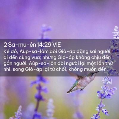 Picture 02 - 2 Sa-mu-ên 14:29 VIE - Kế đó, Aùp-sa-lôm đòi Giô-áp đặng - Bible Verse Picture