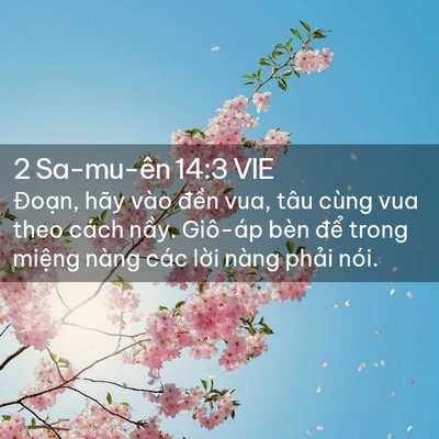 Picture 02 - 2 Sa-mu-ên 14:3 VIE - Đoạn, hãy vào đền vua, tâu cùng vua - Bible Verse Picture