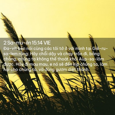 Picture 02 - 2 Sa-mu-ên 15:14 VIE - Đa-vít bèn nói cùng các tôi tớ ở với - Bible Verse Picture