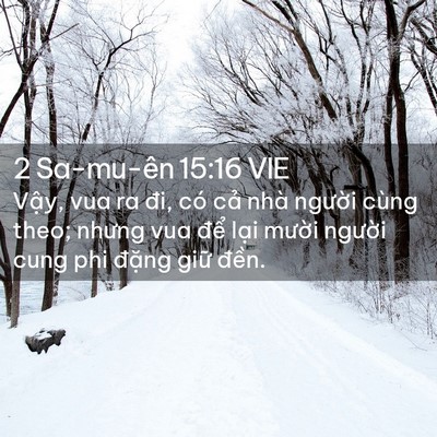 Picture 02 - 2 Sa-mu-ên 15:16 VIE - Vậy, vua ra đi, có cả nhà người cùng - Bible Verse Picture