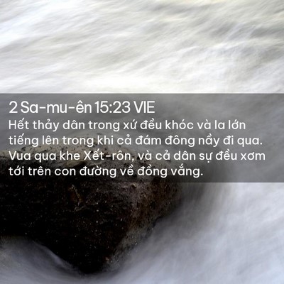 Picture 02 - 2 Sa-mu-ên 15:23 VIE - Hết thảy dân trong xứ đều khóc và la - Bible Verse Picture