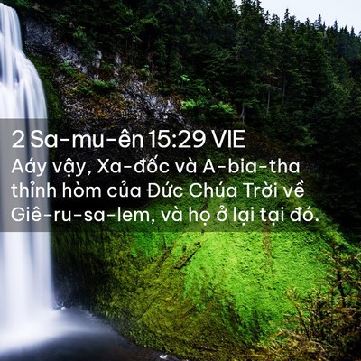 Picture 02 - 2 Sa-mu-ên 15:29 VIE - Aáy vậy, Xa-đốc và A-bia-tha thỉnh hòm - Bible Verse Picture