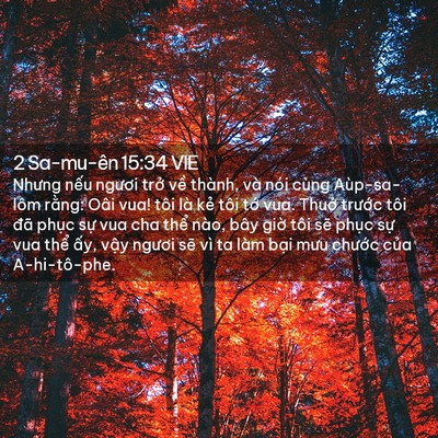 Picture 02 - 2 Sa-mu-ên 15:34 VIE - Nhưng nếu ngươi trở về thành, và nói - Bible Verse Picture