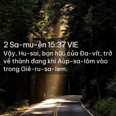 Picture 02 - 2 Sa-mu-ên 15:37 VIE - Vậy, Hu-sai, bạn hữu của Đa-vít, trở - Bible Verse Picture