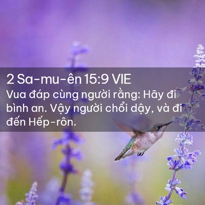 Picture 02 - 2 Sa-mu-ên 15:9 VIE - Vua đáp cùng người rằng: Hãy đi bình - Bible Verse Picture