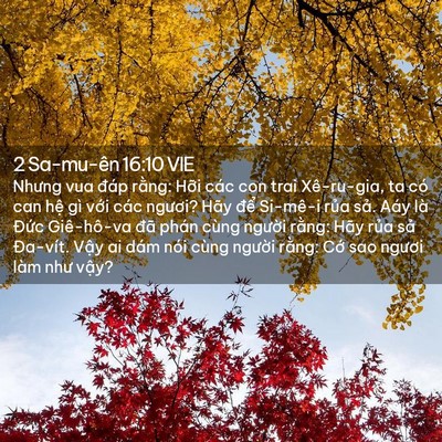 Picture 02 - 2 Sa-mu-ên 16:10 VIE - Nhưng vua đáp rằng: Hỡi các con trai - Bible Verse Picture