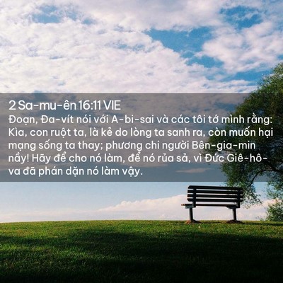 Picture 02 - 2 Sa-mu-ên 16:11 VIE - Đoạn, Đa-vít nói với A-bi-sai và các - Bible Verse Picture