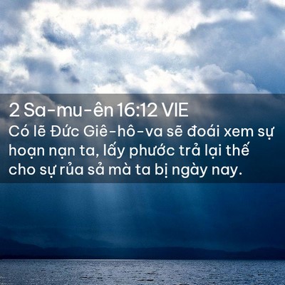 Picture 02 - 2 Sa-mu-ên 16:12 VIE - Có lẽ Đức Giê-hô-va sẽ đoái xem sự - Bible Verse Picture