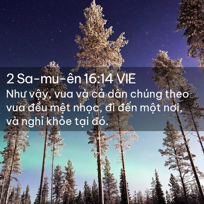 Picture 02 - 2 Sa-mu-ên 16:14 VIE - Như vậy, vua và cả dân chúng theo vua - Bible Verse Picture