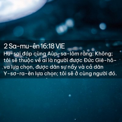 Picture 02 - 2 Sa-mu-ên 16:18 VIE - Hu-sai đáp cùng Aùp-sa-lôm rằng: Không; - Bible Verse Picture
