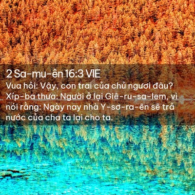 Picture 02 - 2 Sa-mu-ên 16:3 VIE - Vua hỏi: Vậy, con trai của chủ ngươi - Bible Verse Picture