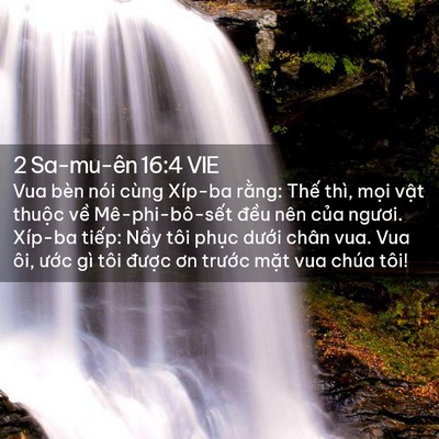 Picture 02 - 2 Sa-mu-ên 16:4 VIE - Vua bèn nói cùng Xíp-ba rằng: Thế thì, - Bible Verse Picture