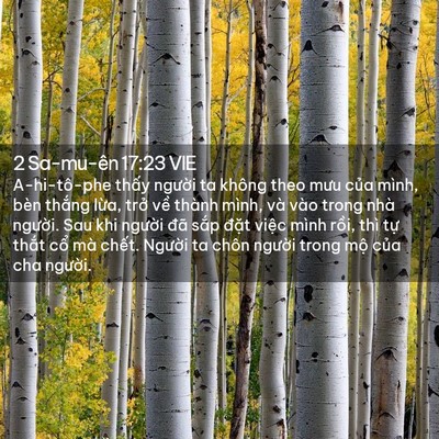 Picture 02 - 2 Sa-mu-ên 17:23 VIE - A-hi-tô-phe thấy người ta không theo mưu - Bible Verse Picture