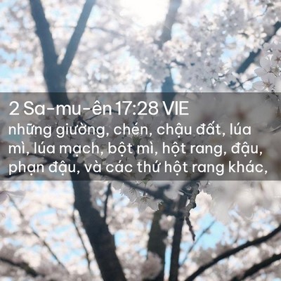 Picture 02 - 2 Sa-mu-ên 17:28 VIE - những giường, chén, chậu đất, lúa - Bible Verse Picture