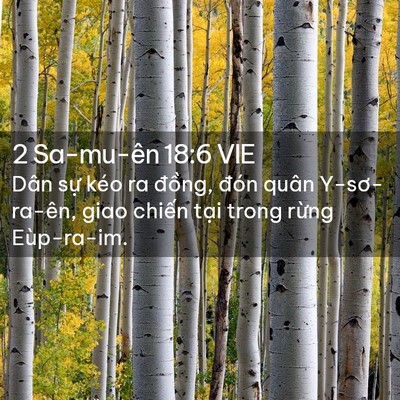 Picture 02 - 2 Sa-mu-ên 18:6 VIE - Dân sự kéo ra đồng, đón quân - Bible Verse Picture